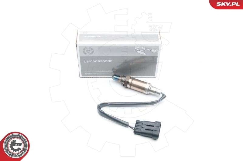 Oxygen Sensor